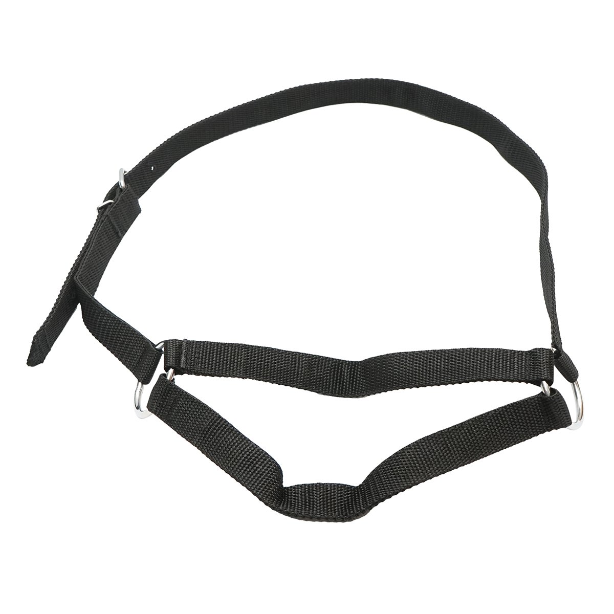 Capastru vaci cu lant din nylon 25mm
